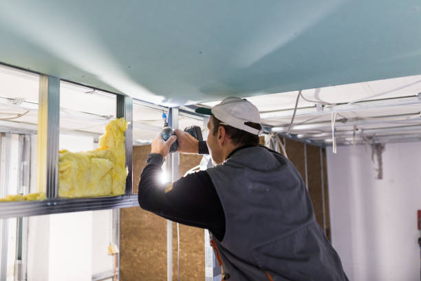 Best Insulation Installation Services in Shasta Lake, CA